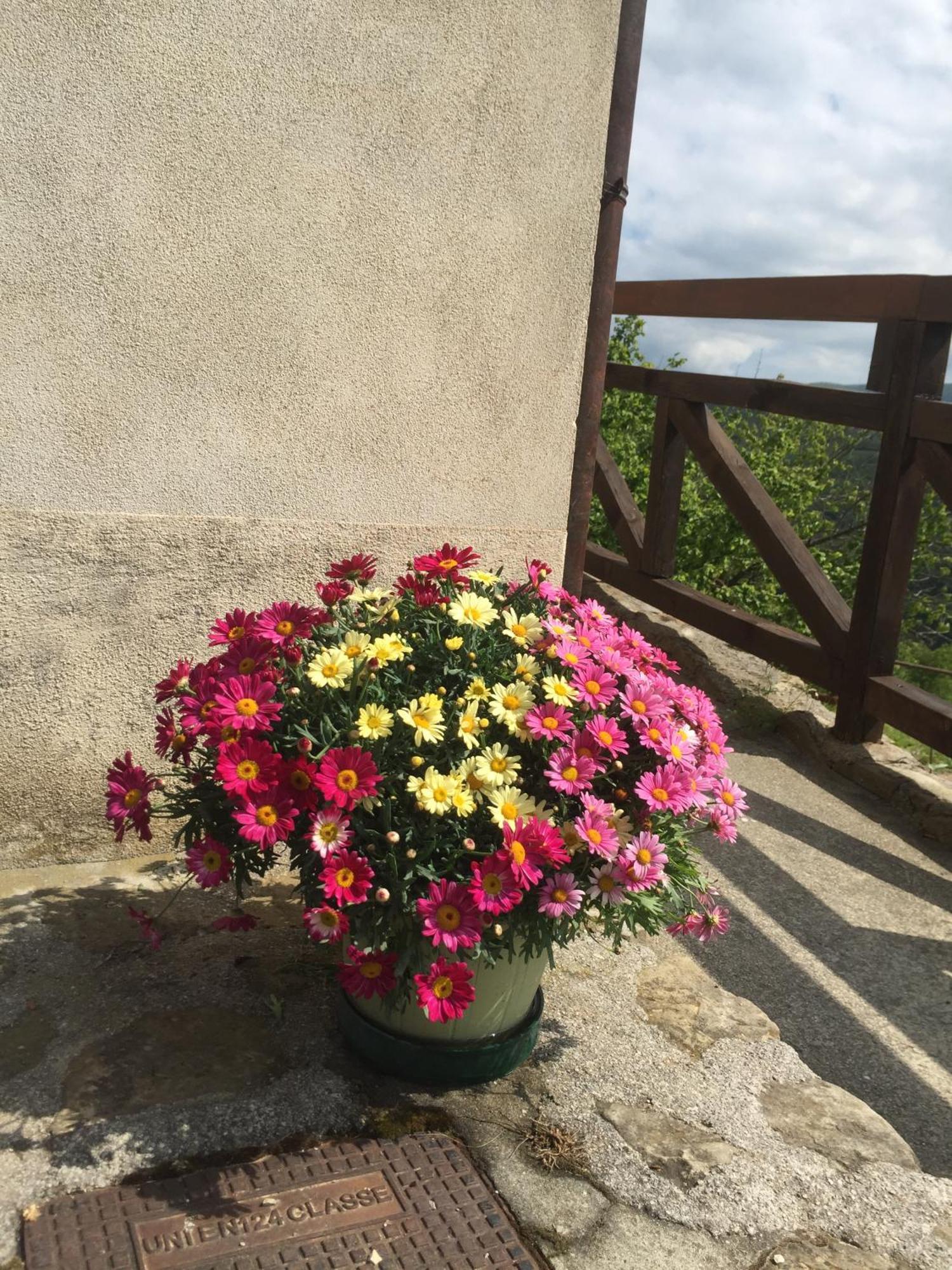 Residenza Cima Le Vigne Bed & Breakfast Millesimo Room photo
